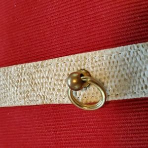 Dog collar snake pattern size 16
